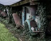 Carros Antigos Abandonados Em Fazendas (2)