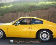 Puma GTE 1980 (12)