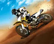 Curiosidades do Motocross (11)