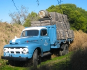 caminhões ford 1950 (1)