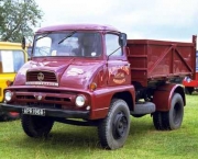 caminhões ford 1960 (2)