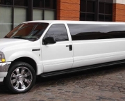 Limousine Ford F250 (4)