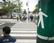Cuidados ao Dirigir e com Pedestres (6)