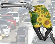 biodiesel (5)