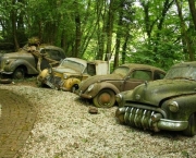 Carros Antigos Abandonados Em Fazendas (8)