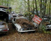 Carros Antigos Abandonados Em Fazendas (15)