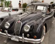 Carros Clássicos da Jaguar (4)