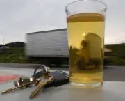 Bebida Atrapalha a Atencao do Motorista (13)