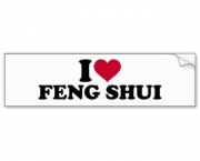Feng Shui 11