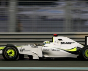 Formula 1 Brawn (14)