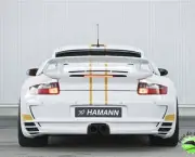 hamann-porsche-911-turbo-stallion-14