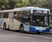 Ônibus Diferente (1)
