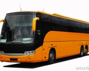 Ônibus Diferente (6)
