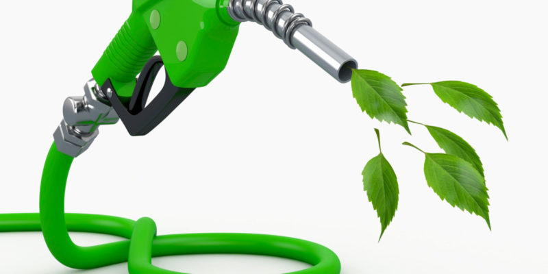 Biodiesel é Sustentável?